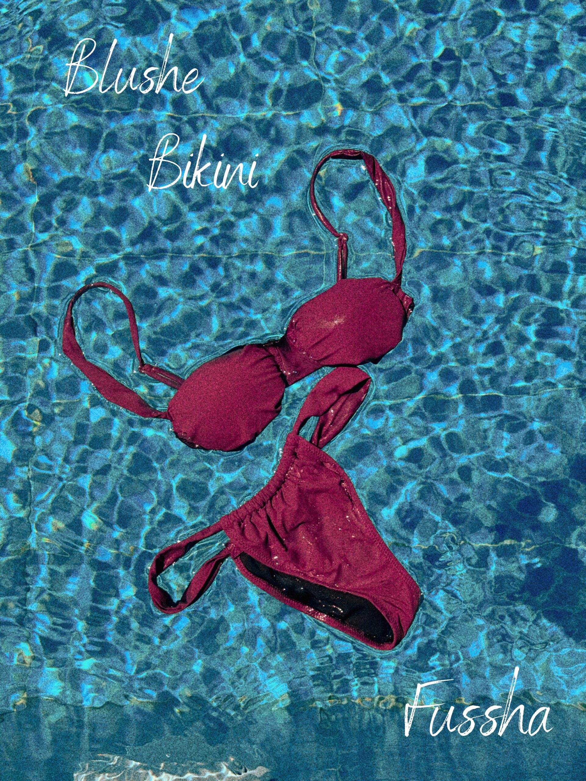 blushe-bikini-1-3